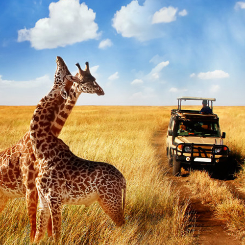Agencia de viajes, viajes a África