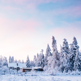 ❄️ Viajar a Laponia: el destino mágico del invierno